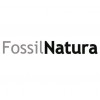 FOSSIL NATURA